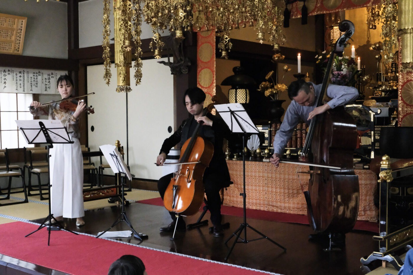 17e053f7f71d15443ee43a730d87e0c5-1773646724.jpg 17e053f7f71d15443ee43a730d87e0c5-1773646724.jpg